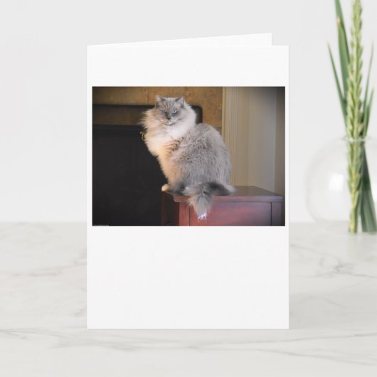 Langsame Tage, Karte (Vorderseite)