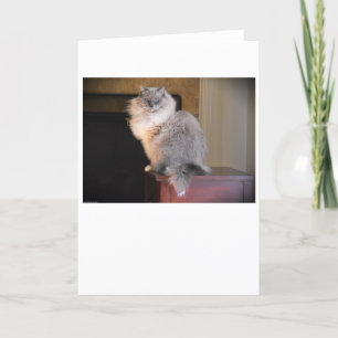 Langsame Tage, Karte