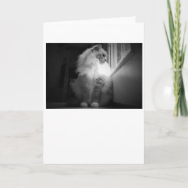 Langsame Tage, Karte