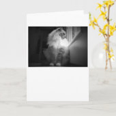 Langsame Tage, Karte (Gelbe Blume)