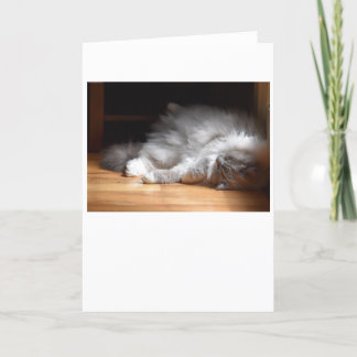 Langsame Tage, Karte