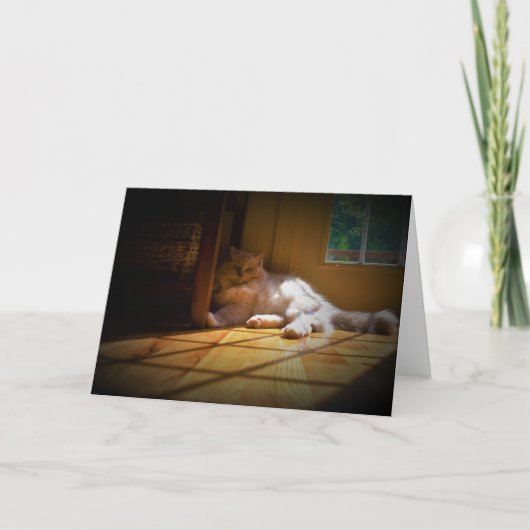 Langsame Tage, Karte (Vorderseite)