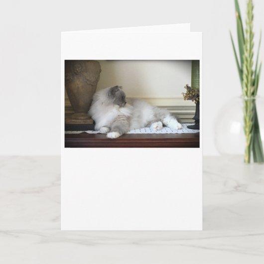 Langsame Tage, Karte (Vorderseite)