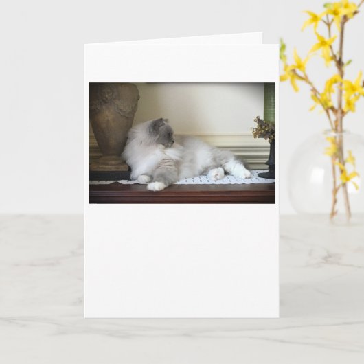 Langsame Tage, Karte (Gelbe Blume)