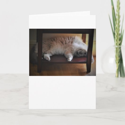 Langsame Tage, Karte (Vorderseite)