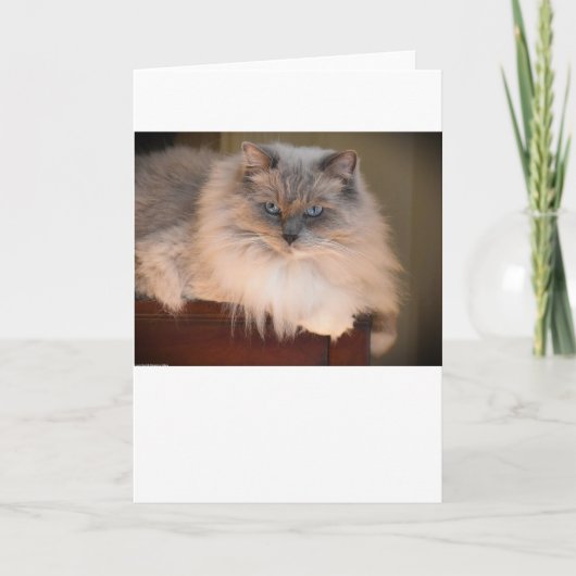 Langsame Tage, Karte (Vorderseite)