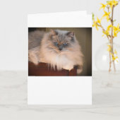 Langsame Tage, Karte (Gelbe Blume)