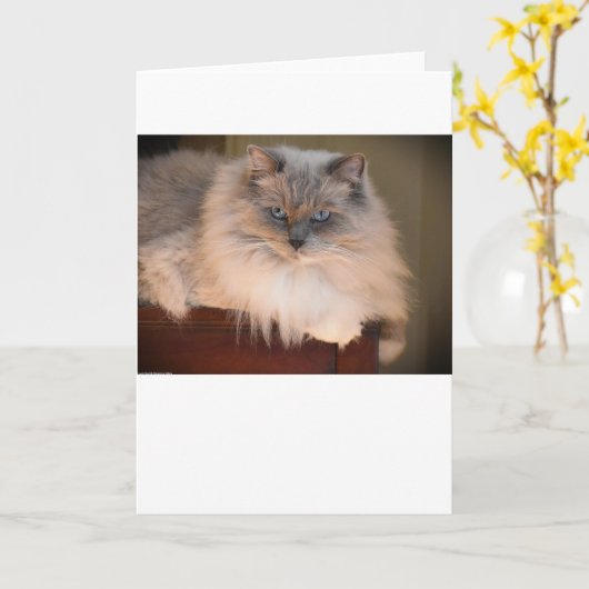 Langsame Tage, Karte (Gelbe Blume)