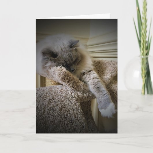 Langsame Tage, Karte (Vorderseite)