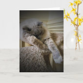 Langsame Tage, Karte (Gelbe Blume)