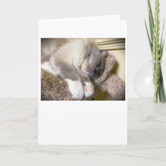 Langsame Tage, Karte (Vorderseite)