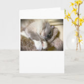 Langsame Tage, Karte (Gelbe Blume)