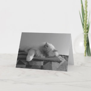 Langsame Tage, Karte