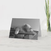 Langsame Tage, Karte (Vorderseite)