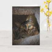 Langsame Tage, Karte (Gelbe Blume)