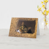 Langsame Tage, Karte (Gelbe Blume)