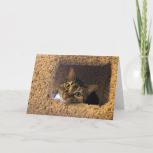 Langsame Tage, Karte