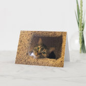 Langsame Tage, Karte (Vorderseite)