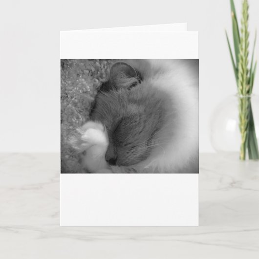 Langsame Tage, Karte (Vorderseite)