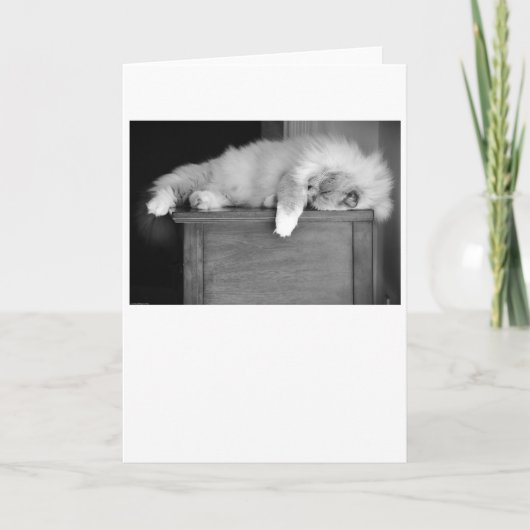 Langsame Tage, Karte (Vorderseite)