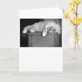 Langsame Tage, Karte (Gelbe Blume)