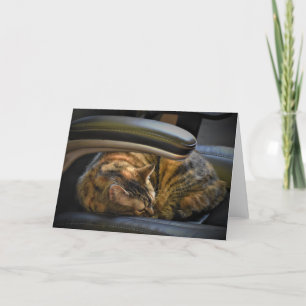 Langsame Tage, Karte