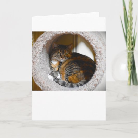 Langsame Tage, Karte (Vorderseite)