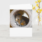 Langsame Tage, Karte (Gelbe Blume)