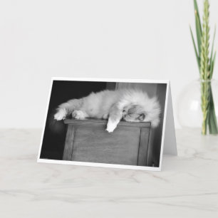 Langsame Tage, Karte