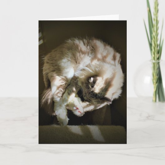 Langsame Tage, Karte (Vorderseite)