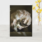 Langsame Tage, Karte (Gelbe Blume)