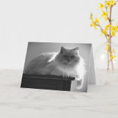 Langsame Tage, Karte (Gelbe Blume)