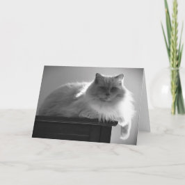 Langsame Tage, Karte