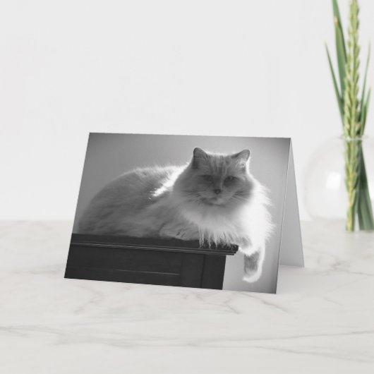 Langsame Tage, Karte (Vorderseite)