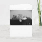 Langsame Tage, Karte (Vorderseite)