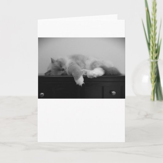 Langsame Tage, Karte (Vorderseite)