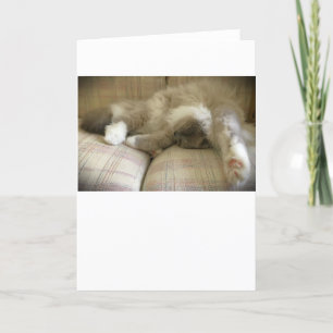 Langsame Tage, Karte