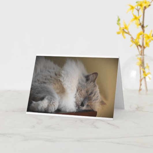 Langsame Tage, Karte (Gelbe Blume)