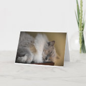 Langsame Tage, Karte (Vorderseite)