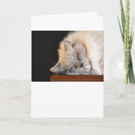 Langsame Tage, Karte (Vorderseite)