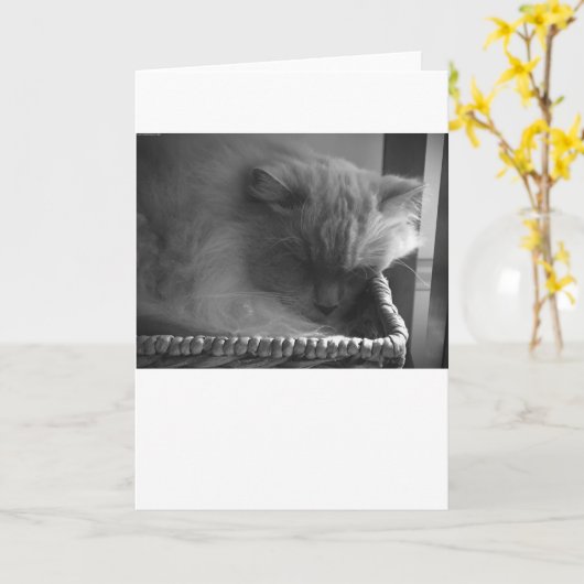 Langsame Tage, Karte (Gelbe Blume)