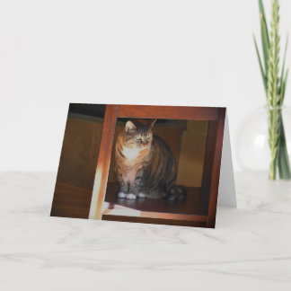 Langsame Tage, Karte