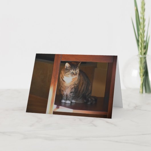 Langsame Tage, Karte (Vorderseite)