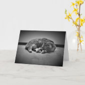 Langsame Tage, Karte (Gelbe Blume)