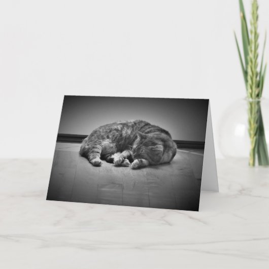 Langsame Tage, Karte (Vorderseite)