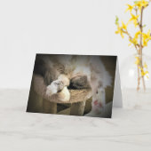 Langsame Tage, Karte (Gelbe Blume)