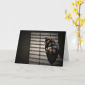 Langsame Tage, Karte (Gelbe Blume)