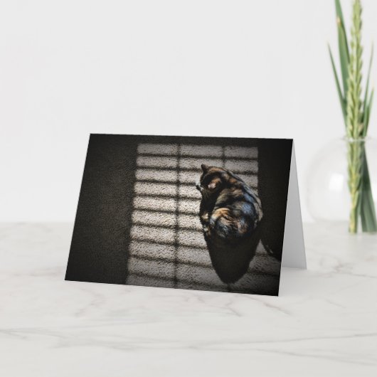 Langsame Tage, Karte (Vorderseite)