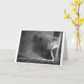 Langsame Tage, Karte (Gelbe Blume)