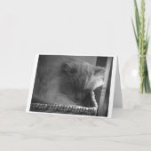 Langsame Tage, Karte (Vorderseite)